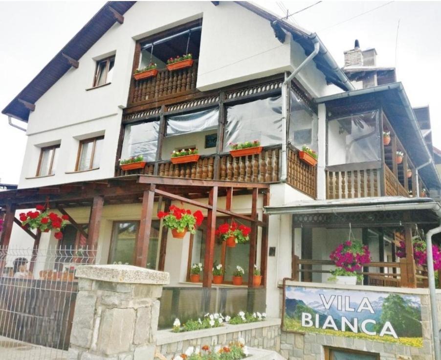 Vila Bianca Buşteni Exterior foto